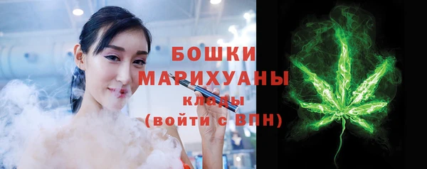 тгк Гусев