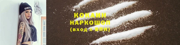 тгк Гусев