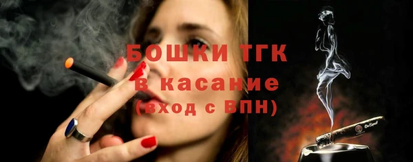 тгк Гусев