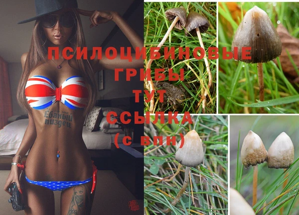 таблы Гусь-Хрустальный