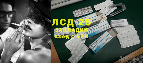 тгк Гусев