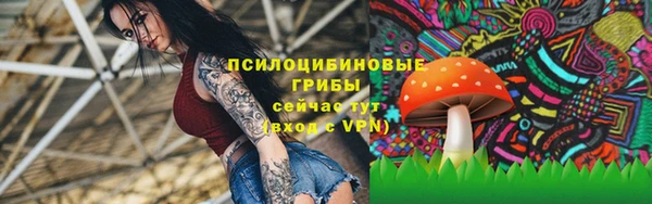 таблы Гусь-Хрустальный