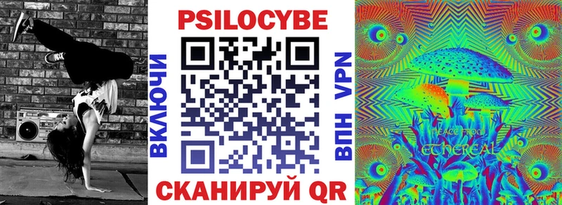 Псилоцибиновые грибы Psilocybe  Чусовой 